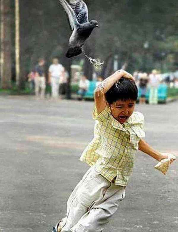 having a bad day having a bad day 17