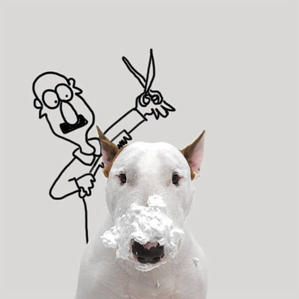 funny pictures of dog and illustrations 4