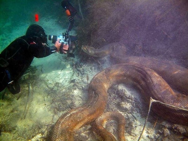 15 Scary Ocean Pics That Prove Deep Waters Can Be A Terrifying Place