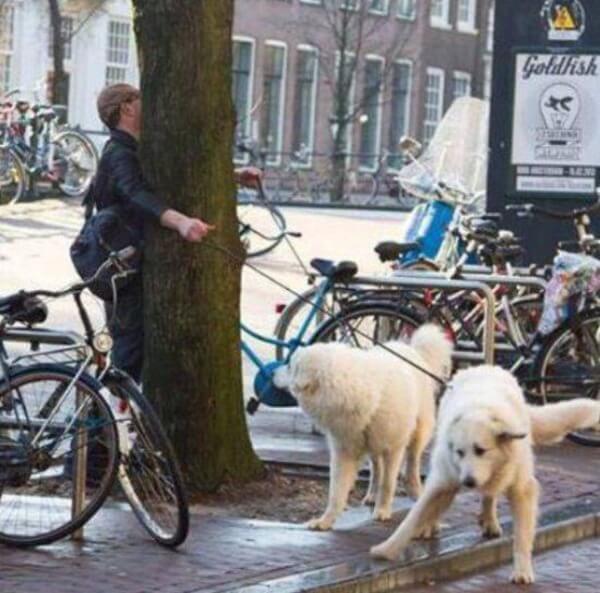 having a bad day having a bad day 3