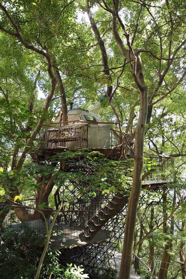 japan's largest treehouse 1