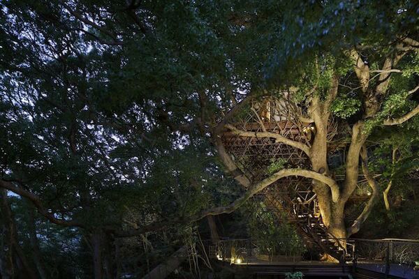 japan's largest treehouse 11
