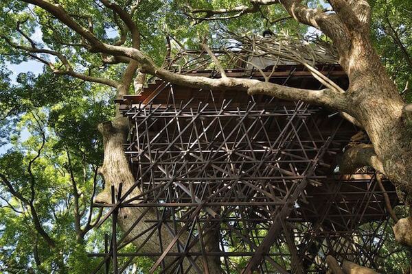 japan's largest treehouse 8