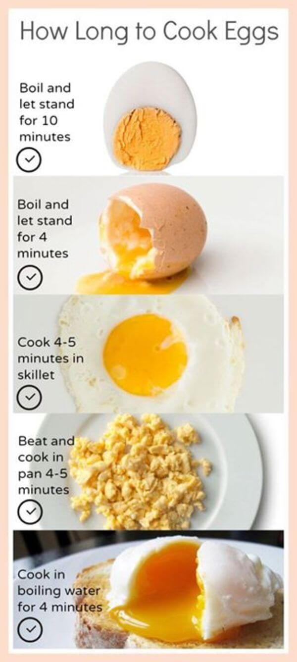 essay about cooking eggs