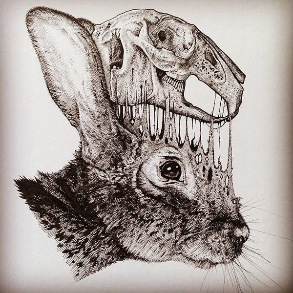 Stunning Drawings Of Animal Skeletons By Paul Jackson