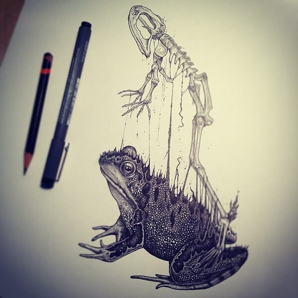 animal skeleton drawings 3