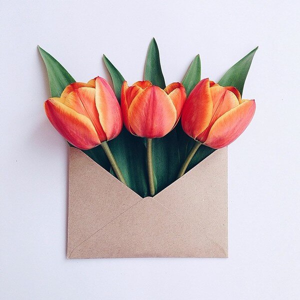 Artist Creates Beautiful Flower Envelope Photos And Shares Them on ...