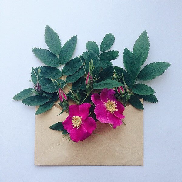 flower envelope