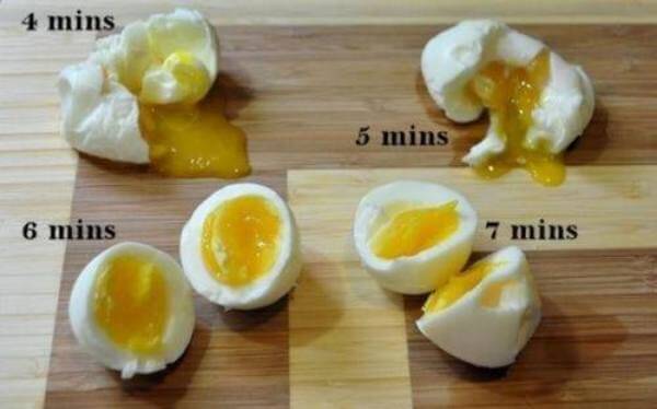 lots of useful egg info 4