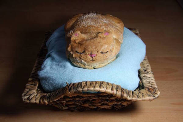adorable animal loafs of bread 1