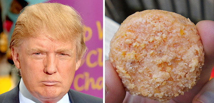 21 Things That Look Exactly Like Donald Trump 3983