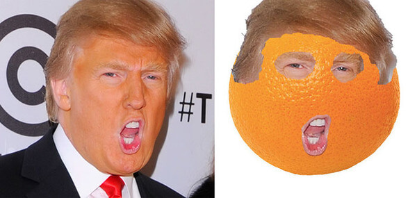 21 Things That Look Exactly Like Donald Trump 3188