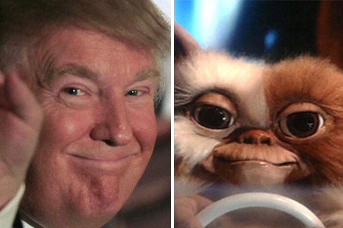 21 Things That Look Exactly Like Donald Trump