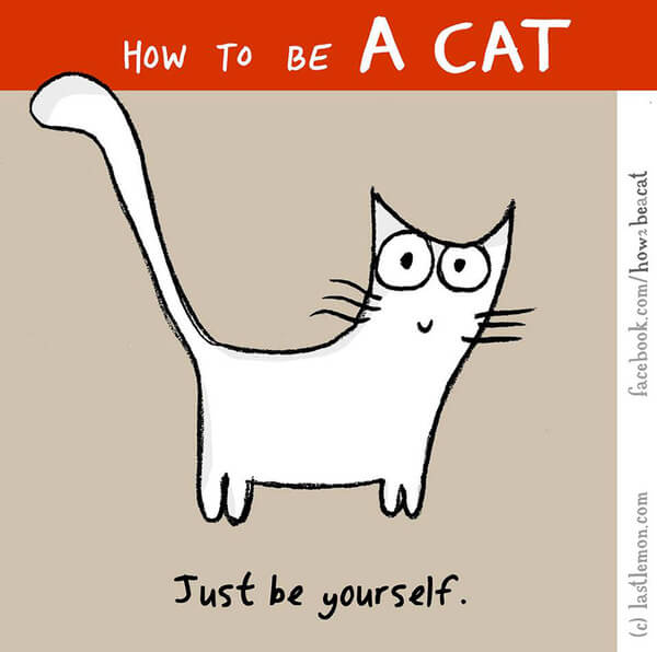  be a cat guide 19