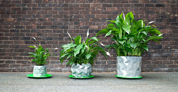 origami plants 1