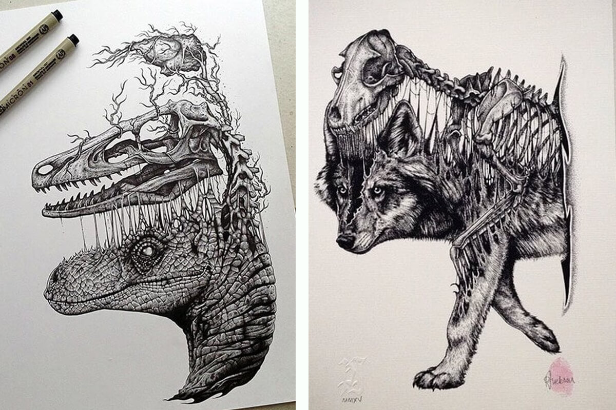 Stunning Drawings Of Animal Skeletons By Paul Jackson