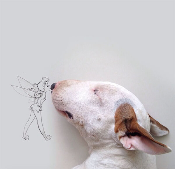 funny pictures of dog and illustrations 3