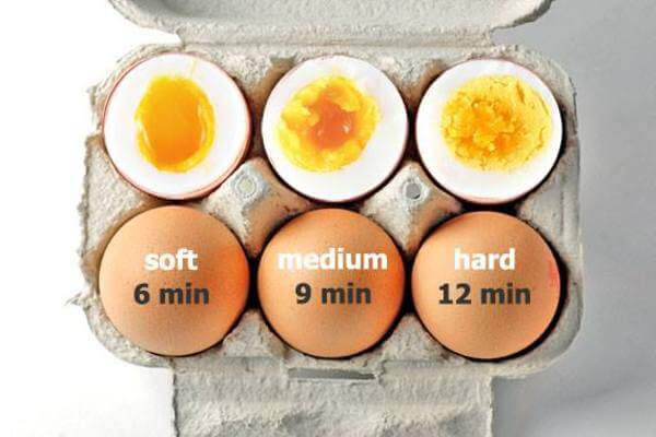 lots of useful egg info 11