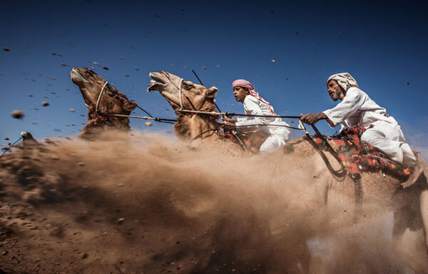 winning shots from national geographic contest 4