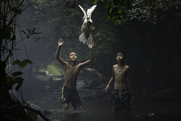 winning shots from national geographic contest 6