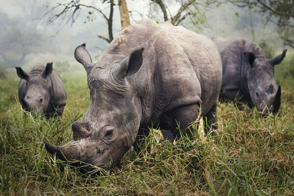 winning shots from national geographic contest 8