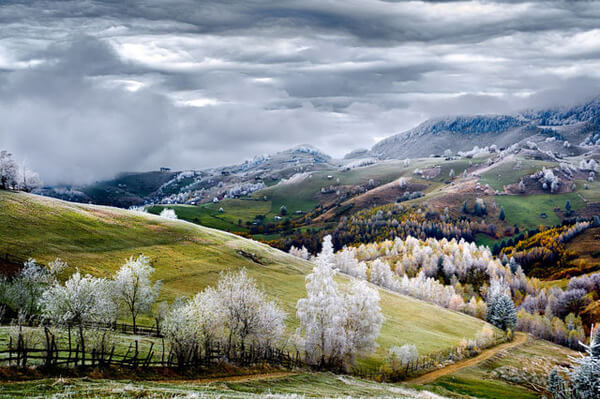 winning shots from national geographic contest 11