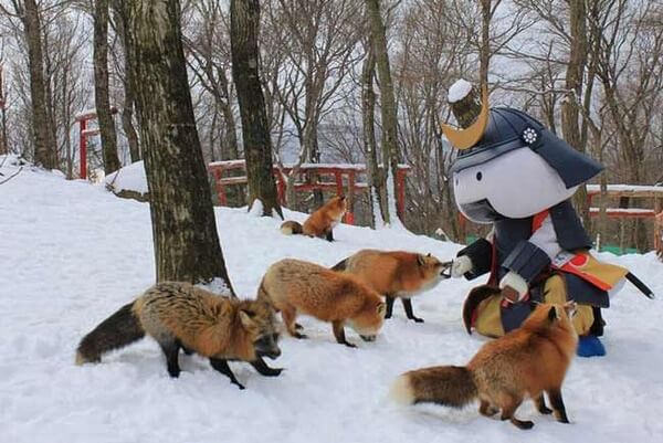japan village with foxes 10