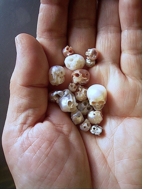 artist carves pearls to skull artist carves pearls to skull 3