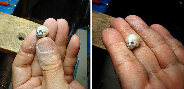 artist carves pearls to skull artist carves pearls to skull 11