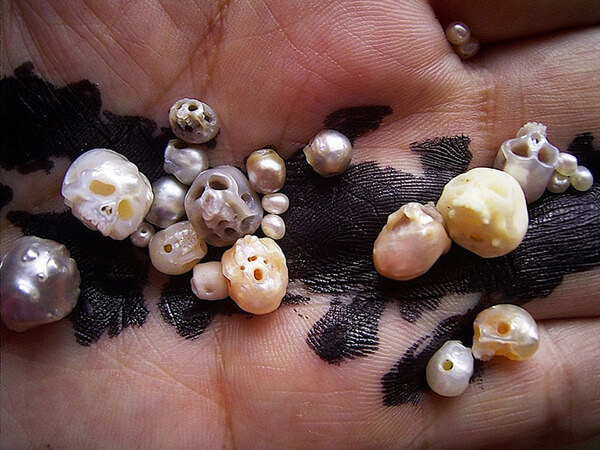 artist carves pearls to skull artist carves pearls to skull 13