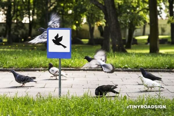 tiny road signs for animals 6