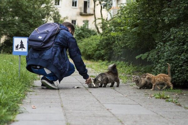 tiny road signs for animals 2