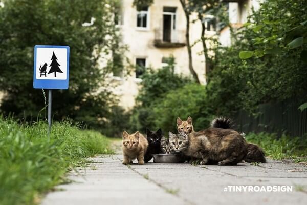 tiny road signs for animals 8