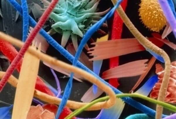 everyday objects under microscope 54