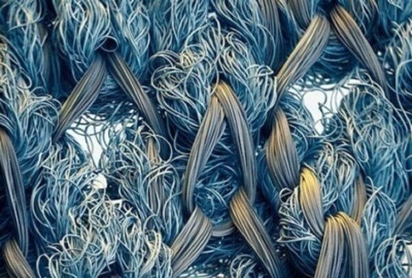 everyday objects under microscope 52