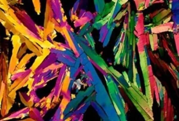 everyday objects under microscope 44