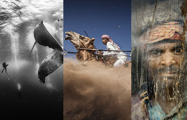winning shots from national geographic contest 1