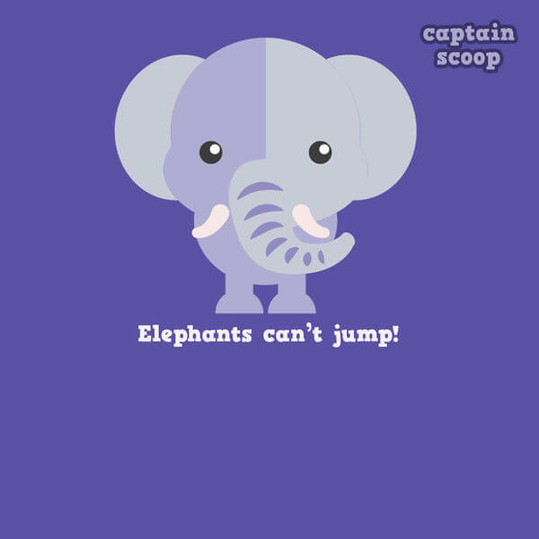 facts about animals facts about animals 9