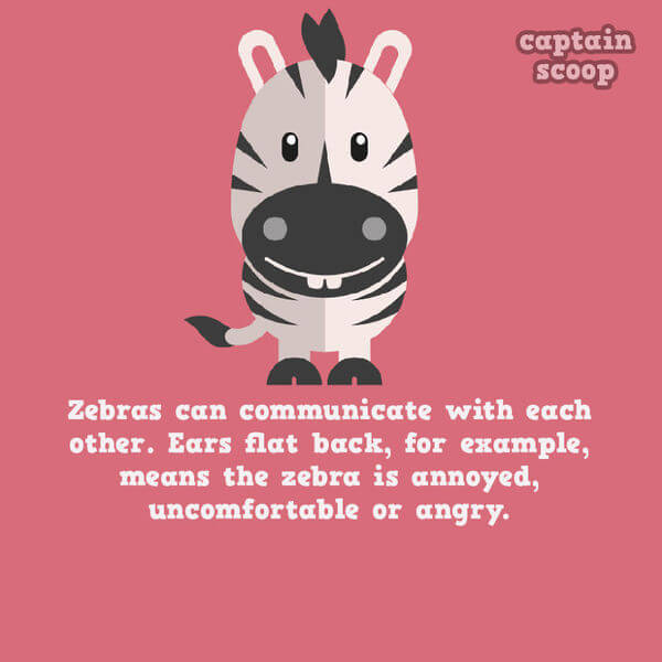 facts about animals facts about animals 13