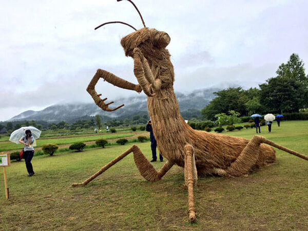 amazing dinosaur sculptures from straw 12