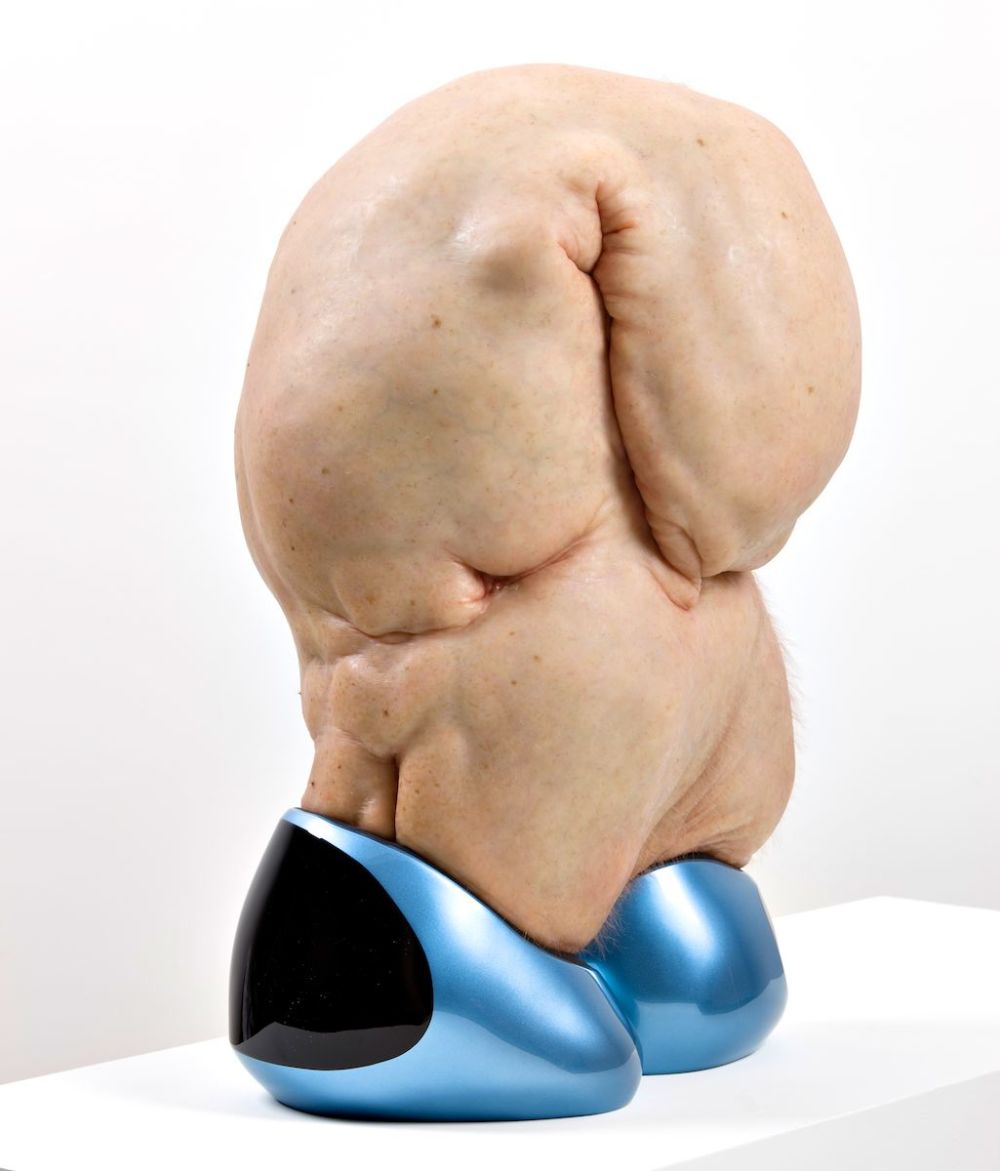 Bizarre And Fascinating Sculptures By Patricia Piccinini