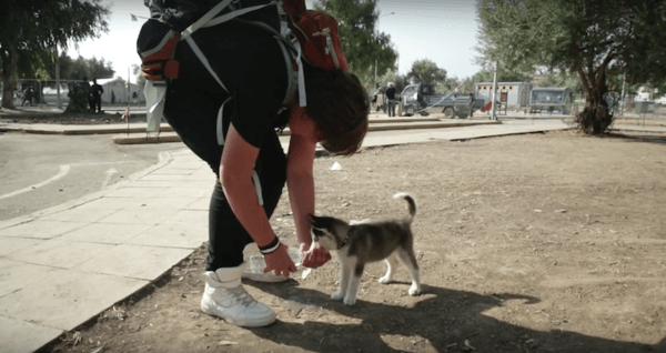 syrian refugee caries dog 3