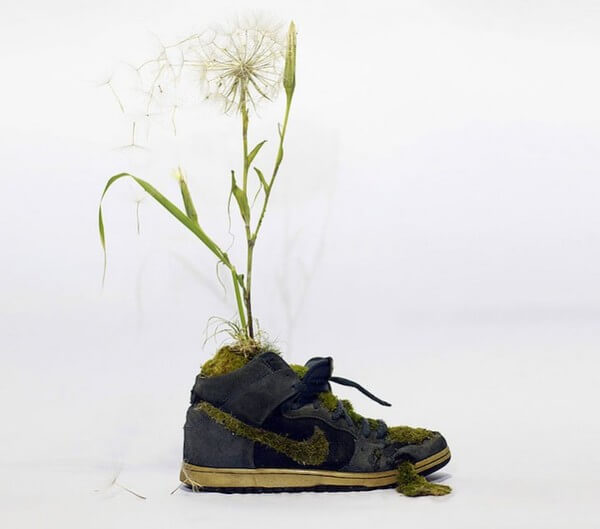 sneakers turned into blossoming gardens 26