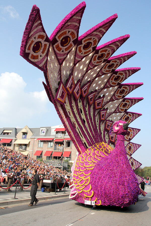 world’s largest flower parade 7