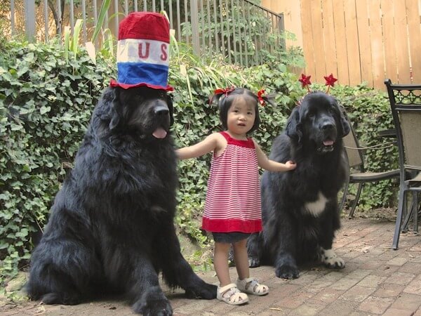 dogs do anything to make kids happy 6