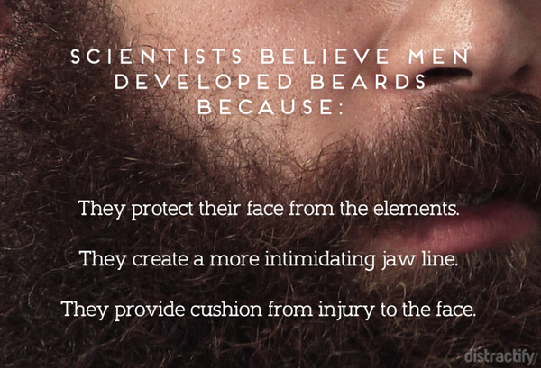facts about beards 3