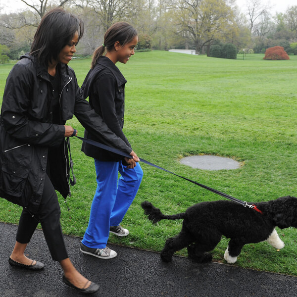 obama's dog pictures 7