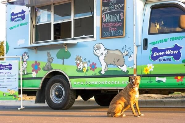 Doggy Vending Machines Are Now A Thing And It Is Awesome!