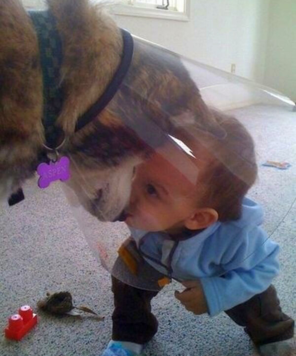 dogs do anything to make kids happy 2