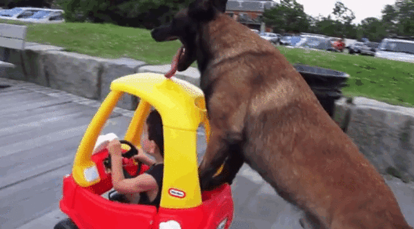 dogs do anything to make kids happy 7